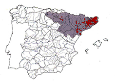 Squalius cephalus_mapa.jpg